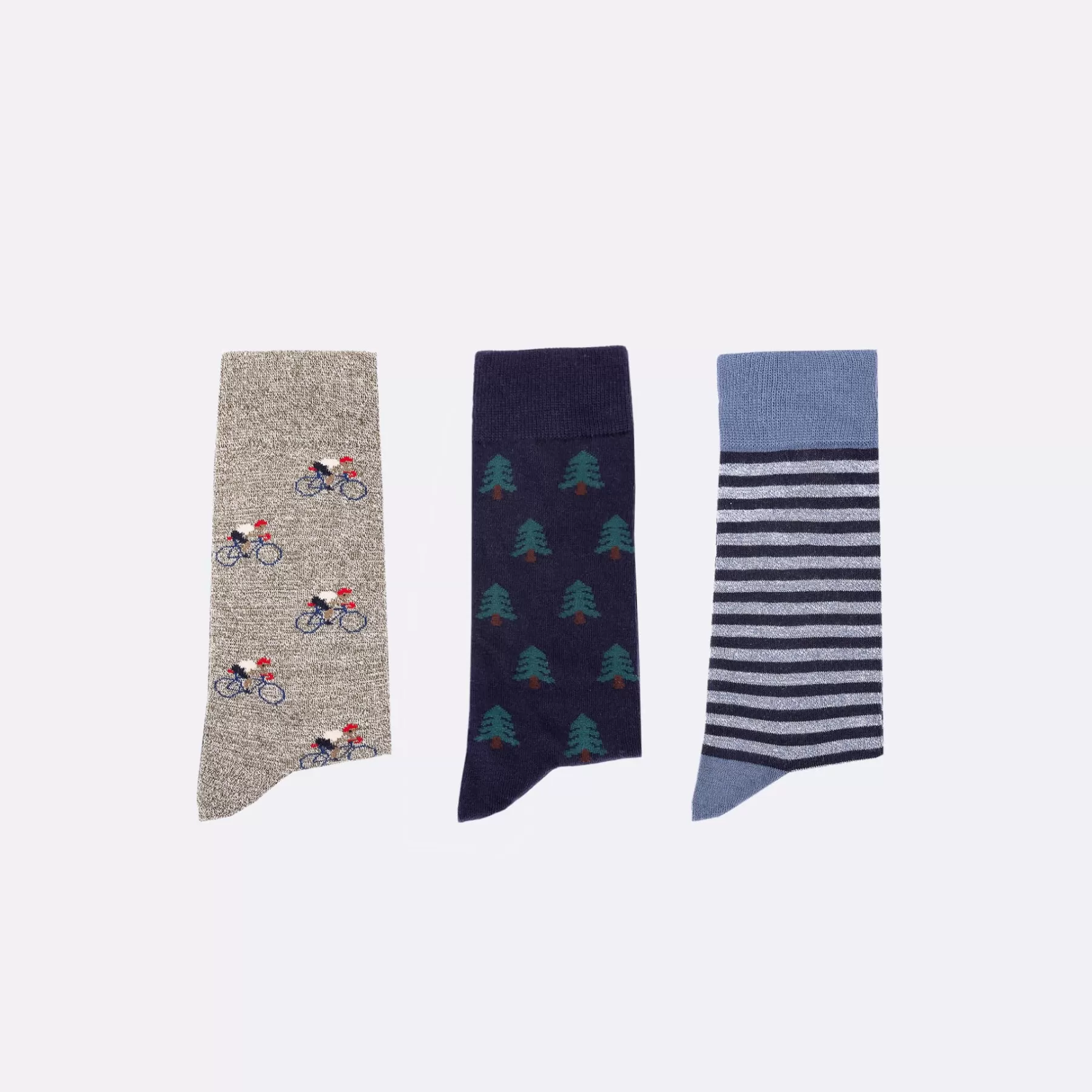 Hot Multicolor & Navy Socks Socks